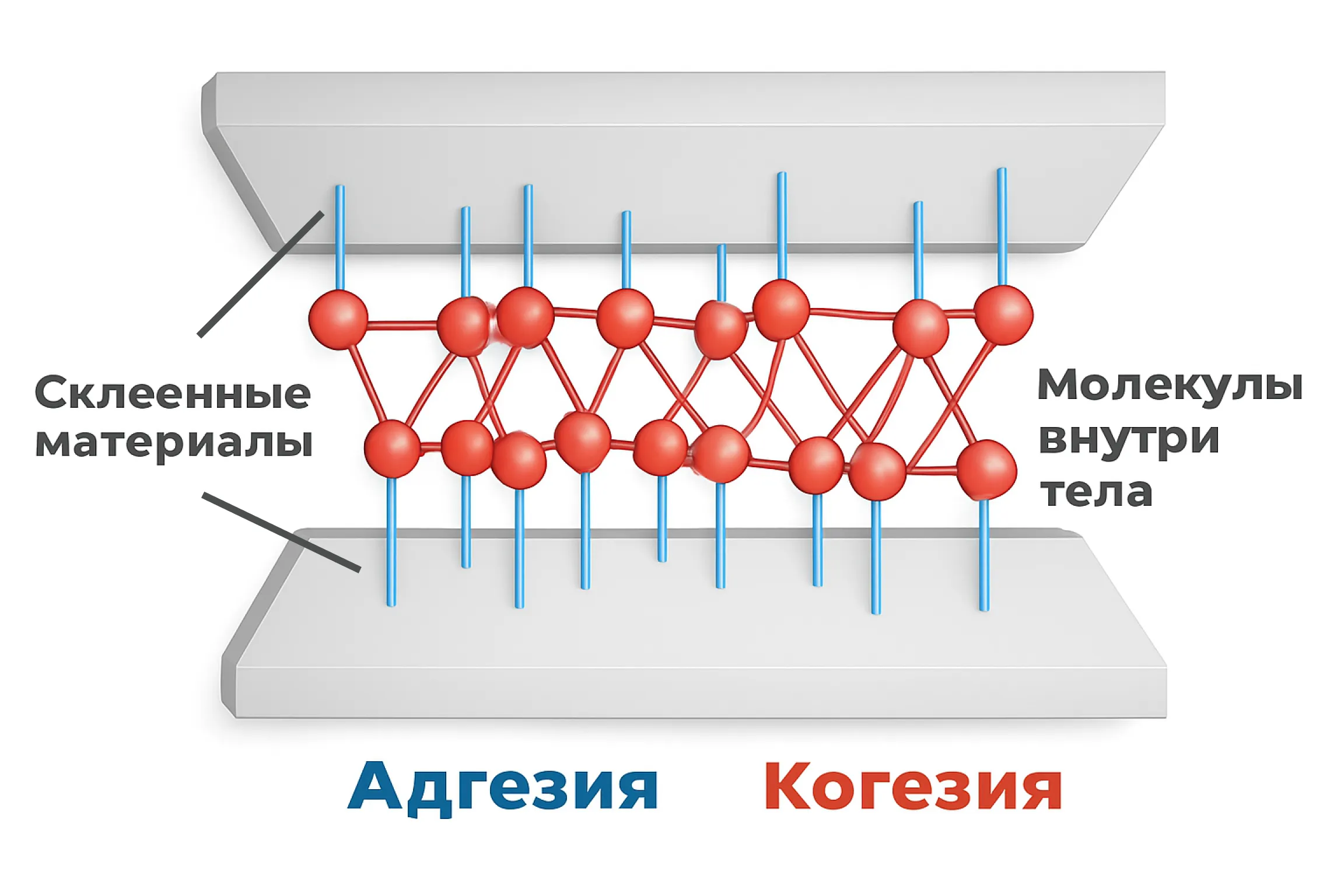 Разница между адгезией и когезией