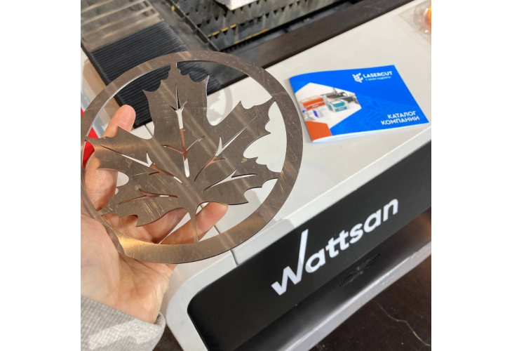 Превью 8 к Лазерный станок по металлу WATTSAN 1530S TABLECHANGE ROTATOTY CABINE 1000 Вт Raycus