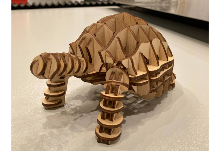 Превью 21 к Лазерный гравер WATTSAN 6040 95 Вт Reci W2