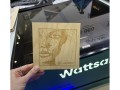 превью 9 к Лазерный CO2 станок WATTSAN 0503 Hobby-T