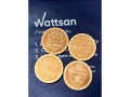 превью 13 к Лазерный станок  с ЧПУ WATTSAN 6090 ST Статичный стол